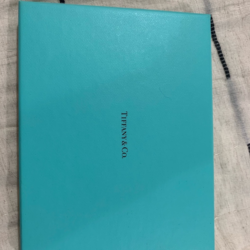 Tiffany & Co. Luggage Tag